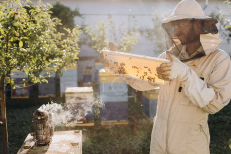Téléchargez les photos : Apiculteur en uniforme debout dans le rucher et tenant une monture d'abeille - en image libre de droit