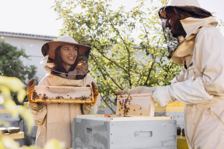 Foto de Dos apicultores trabajan con un panal lleno de abejas, con uniforme protector trabajando en una granja de colmenas, obteniendo un panal de abejas de madera - Imagen libre de derechos