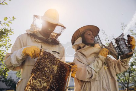 Foto de Pareja de apicultores, hombre y mujer, sacando el marco con abejas de la colmena en la granja de abejas - Imagen libre de derechos