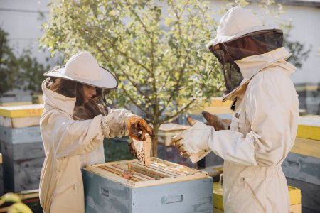 Foto de Dos apicultores trabajan con panal lleno de abejas, en uniforme protector trabajando en una pequeña granja de colmenas - Imagen libre de derechos