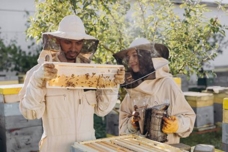 Téléchargez les photos : Heureuse femme apiculteur tenant fumeur par un homme indien apiculteur examinant le cadre en nid d'abeille au jardin rucher - en image libre de droit