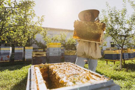 Téléchargez les photos : Joyeux souriant femme apiculteur en costume de protection tenant cadre abeille avec des abeilles au rucher - en image libre de droit