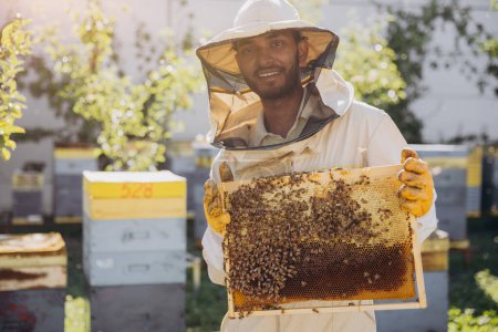 Téléchargez les photos : Heureux apiculteur indien sort un cadre avec des abeilles et du miel d'une ruche sur une ferme apicole. Le concept d'apiculture - en image libre de droit