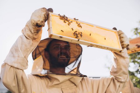 Téléchargez les photos : Heureux apiculteur indien en uniforme debout dans le rucher et tenant une monture d'abeille sur la ferme apicole - en image libre de droit