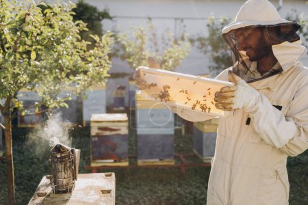 Foto de Apicultor en uniforme de pie en colmenar y sosteniendo un marco de abeja - Imagen libre de derechos