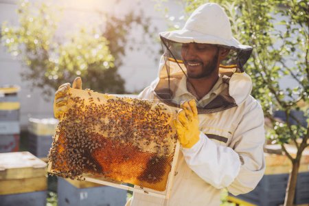 Foto de El apicultor indio feliz saca el marco con las abejas y la miel de la colmena en la granja de la abeja. El concepto de apicultura - Imagen libre de derechos