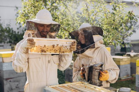 Photo for Happy woman beekeeper holding smoker by indian man apiarist examining honeycomb frame at apiary garden - Royalty Free Image