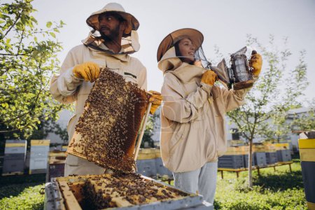 Téléchargez les photos : Couple d'apiculteurs, homme et femme, sortant le cadre avec des abeilles de la ruche à la ferme apicole - en image libre de droit