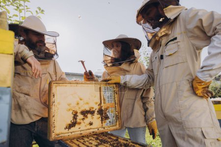Équipe interraciale d'apiculteurs travaillant à la collecte du miel. Concept d'apiculture biologique. Abeille reine ruche.