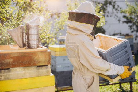 Foto de Apicultor mueve una colmena en el jardín en una granja de abejas, concepto de apicultura - Imagen libre de derechos