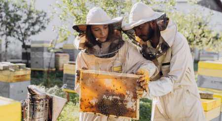 Foto de Un par de felices apicultores sonrientes trabajando con herramientas apícolas cerca de la colmena en la granja de abejas - Imagen libre de derechos
