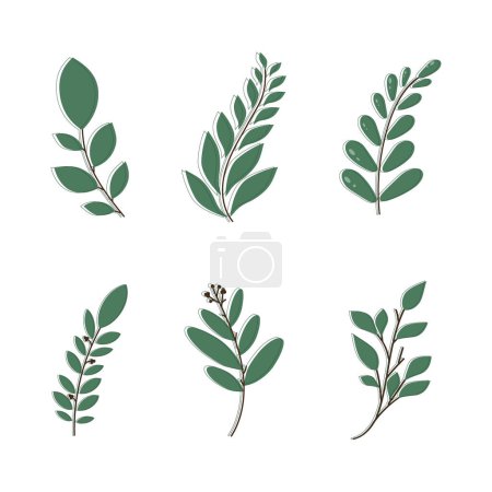 Illustration for Vector Leaf. Green Leaves elements. Leaf. Leaves. Wedding Invitation or greeting card. Illustration for design - Royalty Free Image