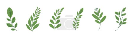 Illustration for Vector Leaf. Green Leaves elements. Leaf. Leaves. Wedding Invitation or greeting card. Illustration for design - Royalty Free Image