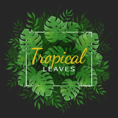Foto de Hojas de selva tropical. Palmera tropical verde y hojas de monstera con un marco sobre el fondo negro. Ilustración vectorial - Imagen libre de derechos