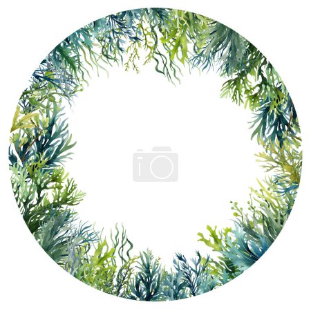 Téléchargez les photos : Algues végétales sous-marines. Laminaria vert illusions aquarelle isolé sur fond de hite. Set nautique - en image libre de droit