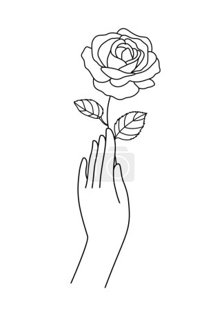 Photo for Hand holding rose line art. Woman's hand holding a rose, illustration. - Royalty Free Image