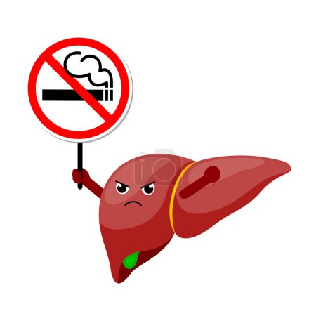 Photo for Cartoon liver character human organs holding stop and no smoking sign. Smoking effect on human internal organs. Health care concept. World no tobacco day. illustration. - Royalty Free Image