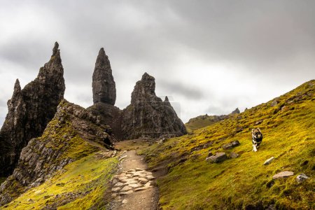 Téléchargez les photos : Vieil homme de Storr vue panoramique, Écosse, île de Skye - en image libre de droit