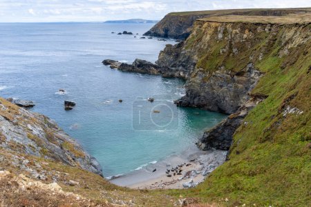 Téléchargez les photos : Une petite plage et une crique avec des phoques communs nichés dans les falaises du littoral de la baie St. Ives - en image libre de droit