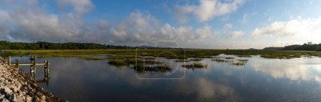 Foto de Paisaje panorámico de marismas y marismas en la isla de Pawleys en Carolina del Sur - Imagen libre de derechos
