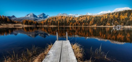Téléchargez les photos : Paysage panoramique du lac de Staz près de Saint-Moritz dans les Alpes suisses à la fin de l'automne avec des reflets de couleurs de feuillage d'automne et des montagnes dans l'eau calme - en image libre de droit