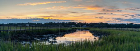 Foto de Vista panorámica del paisaje de los lechos de mareas y pantanos en la isla Pawleys en Carolina del Sur al atardecer - Imagen libre de derechos