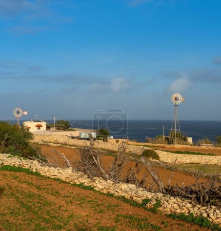 Foto de Vista de la típica casa de campo y ruedas de viento en el campo de Malta en la cálida luz de la noche - Imagen libre de derechos