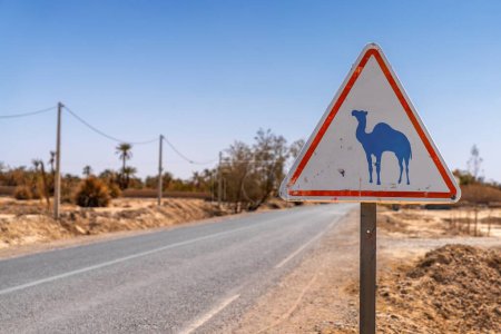 Téléchargez les photos : A street sign warning of camels and dromedaries on the road in the desert of southeastern Morocco - en image libre de droit