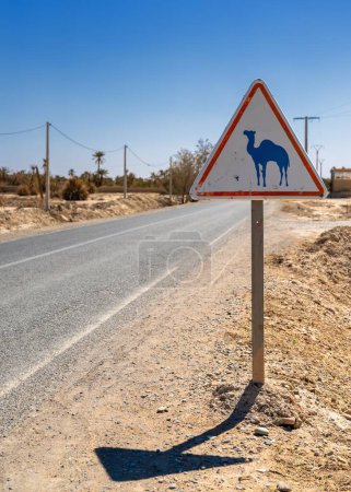Téléchargez les photos : A street sign warning of camels and dromedaries on the road in the desert of southeastern Morocco - en image libre de droit