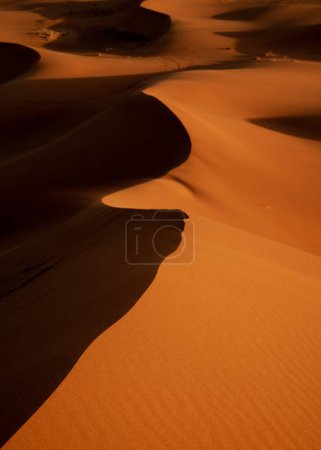 A vertical view of sand dunes with gentle curves and interplay of light and shadow