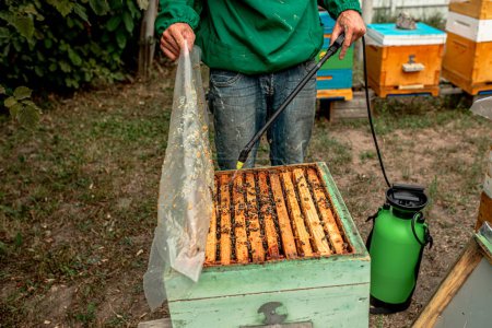 Téléchargez les photos : Cadre en bois d'arrosage apiculteur avec pulvérisateur. Ruche d'abeille ouverte - en image libre de droit