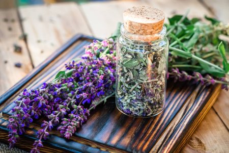A glass jar full of dried sage flowers prepared for the manufacture of tinctures or potions for alternative medicine by herbalists or pharmacists.
