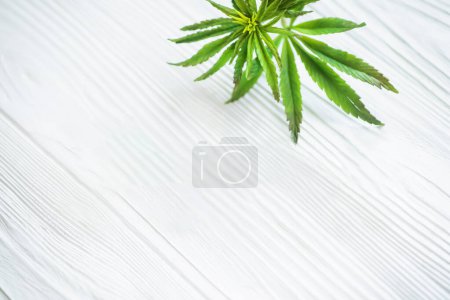 Photo for Cannabis leaf on white. Hemp plant in a basket on a white wooden table. Text 2022. The Coming Year with Medical Cannabis - Royalty Free Image