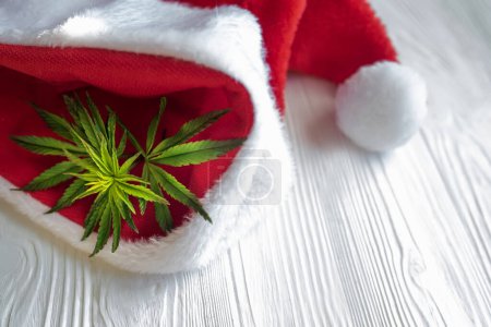Photo for Cannabis leaf on white. Hemp plant in a basket on a white wooden table with santa hat. Merry Christmas with hashish - Royalty Free Image