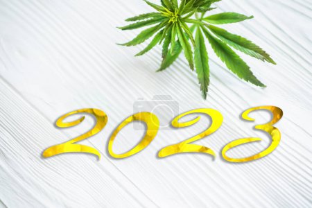 Photo for Cannabis leaf on white. Hemp plant in a basket on a white wooden table. 2023. The Coming Year with Medical Cannabis - Royalty Free Image