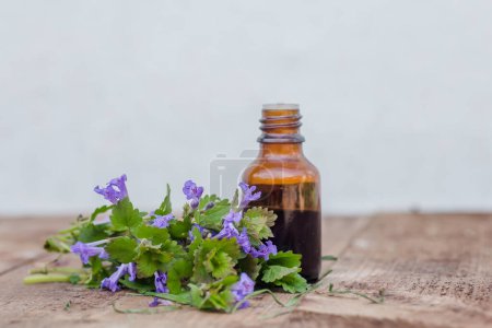Photo for Pharmaceutical bottle of medicine from Glechoma hederacea, Nepeta glechoma Benth, and run-away-robin, creeping jenny next to a bunch of blossoming on a wooden table. Preparation of medicinal plants. - Royalty Free Image