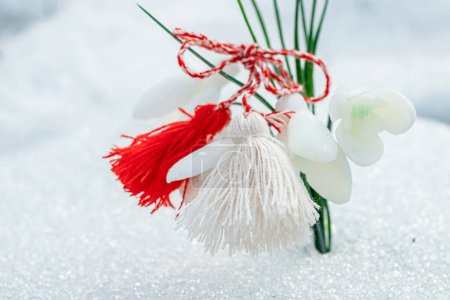 Photo for Martisor and Baba Marta. Symbols of spring. of rope on a snow background. Wallpaper of spring flowers and martenitsa - Royalty Free Image
