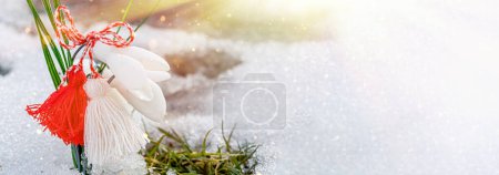Photo for Snowdrops flowers with a red-white bow made of rope on a snow background. - Royalty Free Image