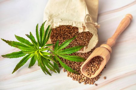 Hemp seeds, ingredients for vegan supplements, CBD products. The concept of growing cannabis for medical and cosmetic purposes. Marijuana in the food industry.