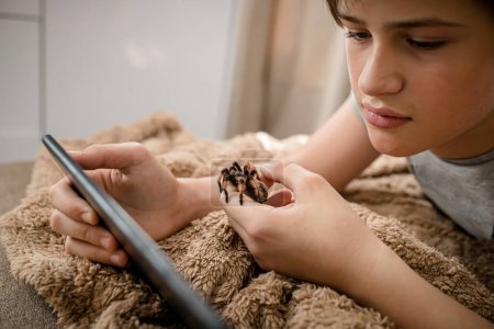 Foto de A child with a pet spider rests after school and watches a video on a tablet - Imagen libre de derechos