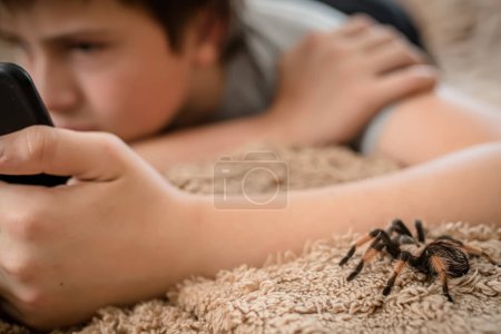 Foto de A large tarantula spider crawls over the bed. A guy with arachnophobia does not notice a huge spider approaching him. - Imagen libre de derechos