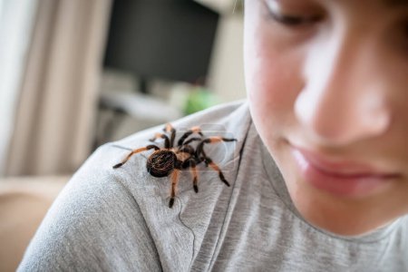Foto de The boy looks at the cute pet spider crawling on his shoulder to face. brave boy plays with huge spider Brachypelma albopilosum. Treatment of arachnophobia Defocused - Imagen libre de derechos