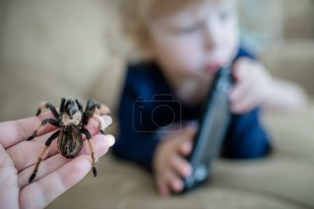 Foto de Mom caught a huge tarantula spider crawling past a child playing with a mobile phone. Arachnophobia - Imagen libre de derechos