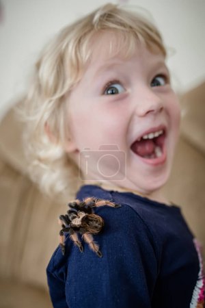 Foto de The child was frightened by a huge spider crawling on his back. The baby is terrified of the tarantula jumping on her shoulder. - Imagen libre de derechos