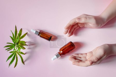 Photo for Women's hands holding cosmetic bottles on a pink background. Fresh hemp leaves to make elexir for cosmetics - Royalty Free Image