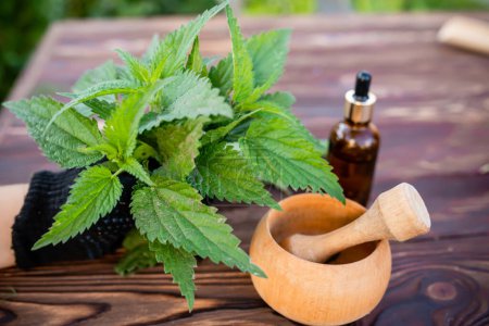 Wooden mortar and fresh nettle collected in an ecological forest for cosmetology from medicinal herbs