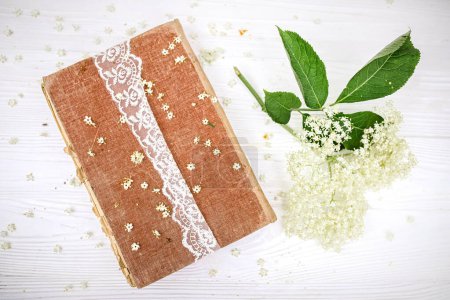 Téléchargez les photos : Spiritual travels with a book of self-care spells with recipes for spa salons made of elderberry juice. Elderberry flowers on a white wooden background near a vintage book. - en image libre de droit