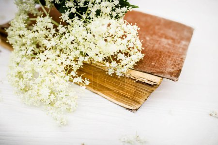 Photo for Spiritual travels with a book of self-care spells with recipes for spa salons made of elderberry juice. Elderberry flowers on a white wooden background near a vintage book. - Royalty Free Image