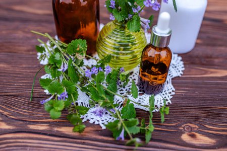 Photo for Glechoma hederacea, ground-ivy, gill-over-the-ground, creeping charlie, alehoof, tunhoof, catsfoot, field balm, and run-away-robin, creeping jenny. Cosmetic bottle of oil for body care. - Royalty Free Image