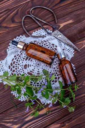 Photo for Glechoma hederacea, ground-ivy, gill-over-the-ground, creeping charlie, alehoof, tunhoof, catsfoot, creeping jenny. Cosmetic bottle of oil for body care. Essential oil in a cosmetic bottle on a wooden - Royalty Free Image